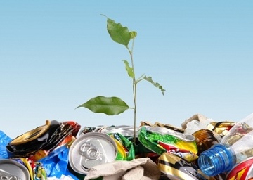 Важность утилизации мусора и варианты решения